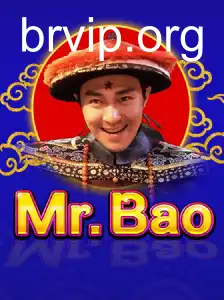 MrBao